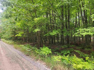 Lots 239, 240, 241 Havenwood Drive