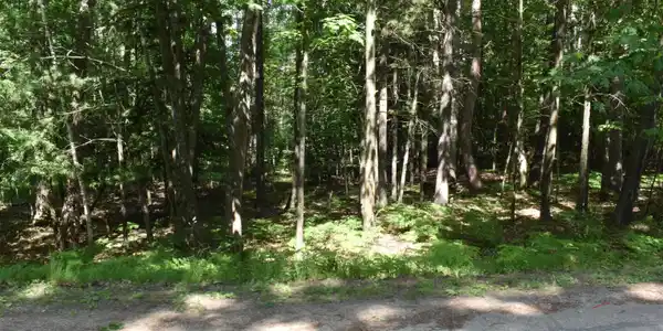 Lot 196 Princess Way