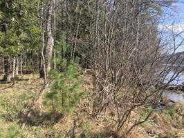 Lots 1-6 HAY