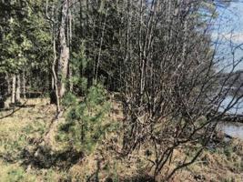 Lots 4-6 HAY