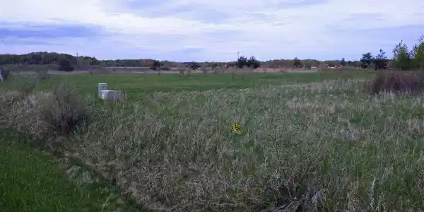 Lot 98 Dundee Drive