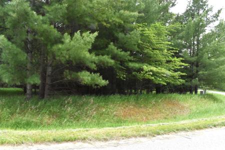 Lot 155 Robinhood Way
