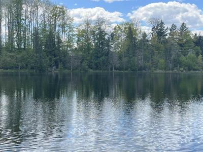 V/L 8046 Wallace Drive