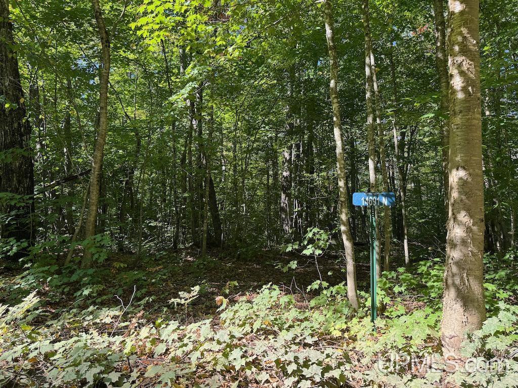 Image 1: This property is just a hop, skip, and a boat launch away from Ross Lake!