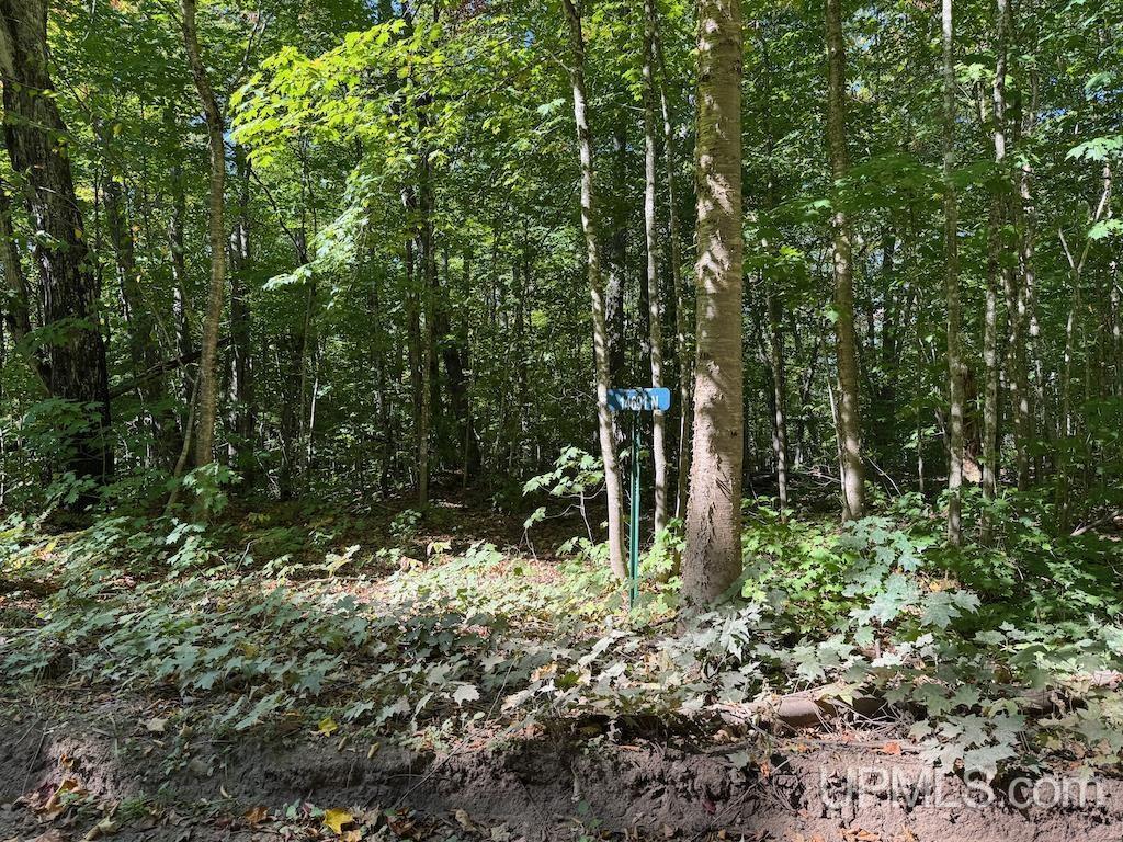 Image 4: The driveway is a bit overgrown, but still visible!