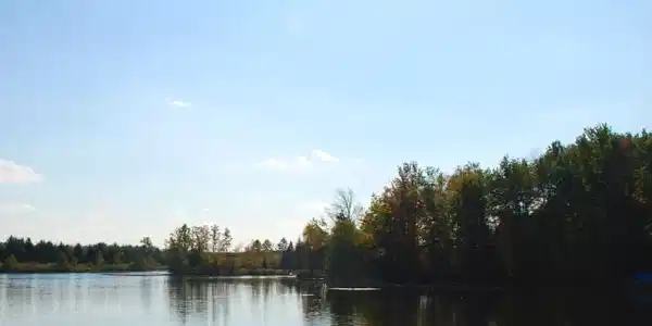 Lot 223 HEATHER WAY