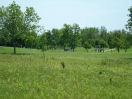 308 TRACK IRON TRAIL