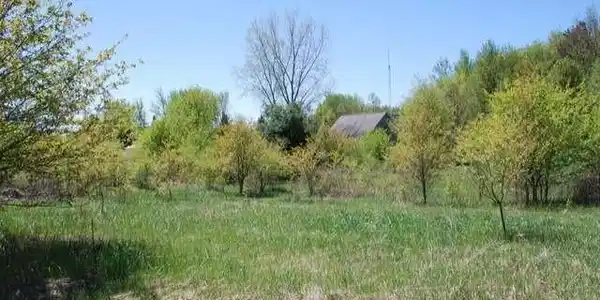 Lot 239 HEATHER WAY