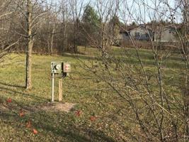 4346 HAMILTON WAY