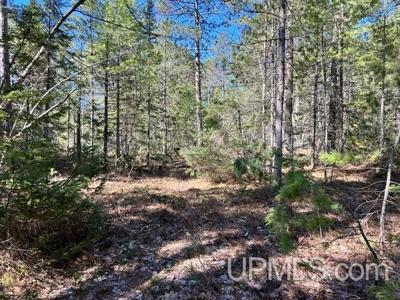 Unit 61 Little Rice Lake Road