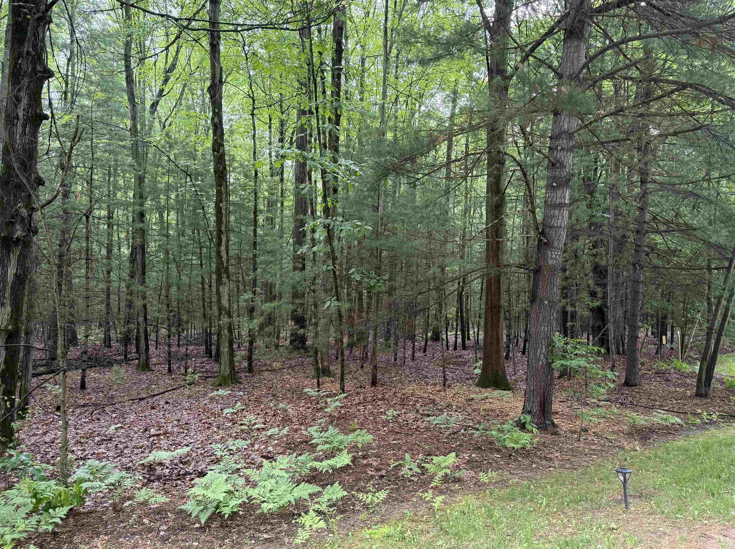 Image 1: Beautifully treed lot