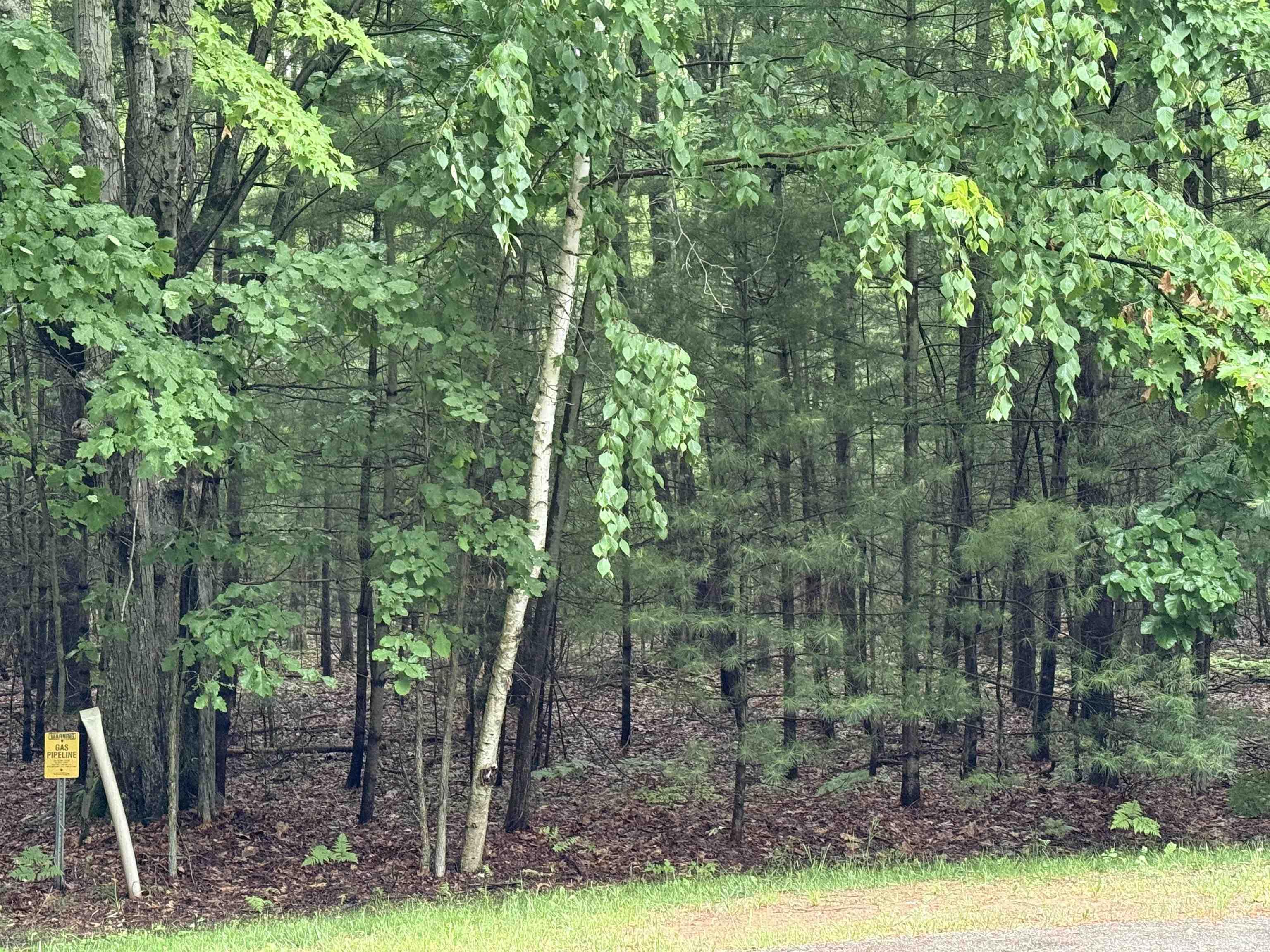 Image 3: Nicely treed lot