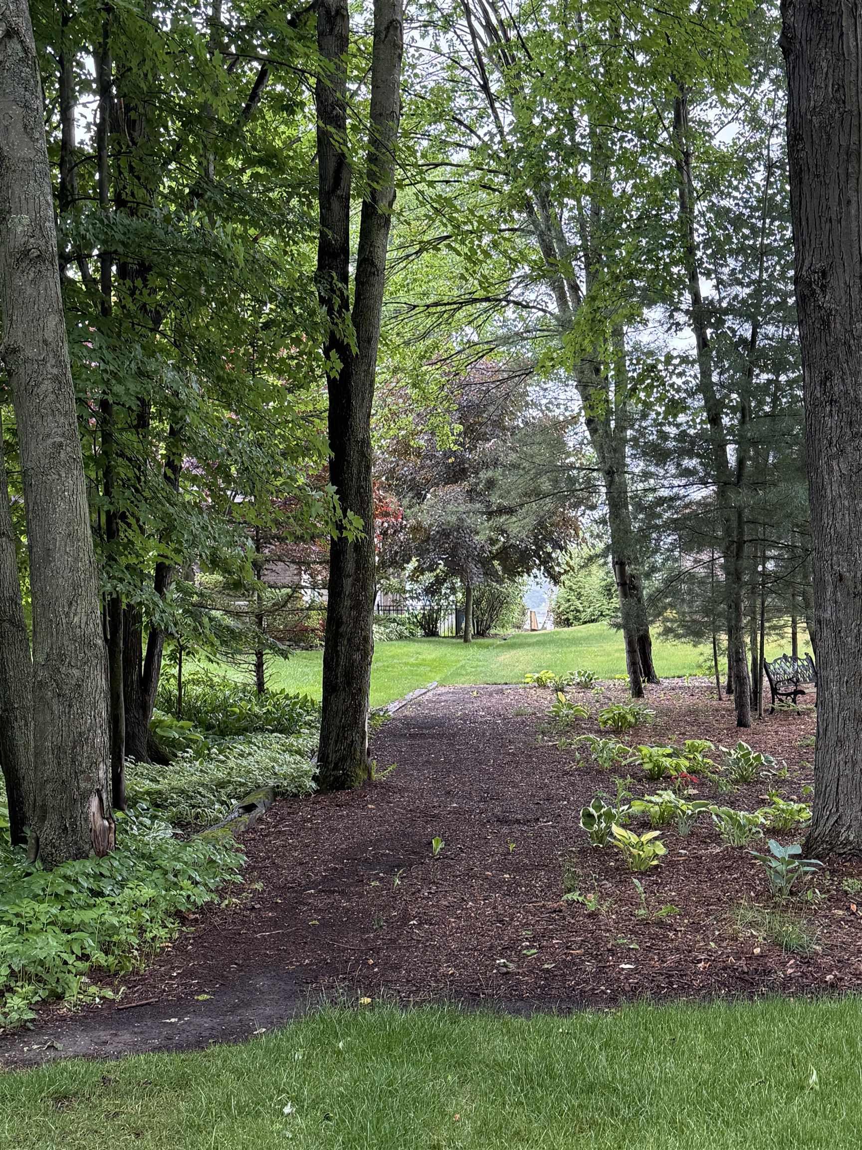 Image 4: Access to lake