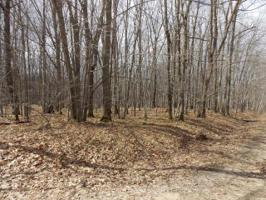 Lot 504 OAK RUN