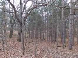 Lot 614 ELM RUN