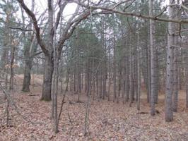 Lot 614 ELM RUN