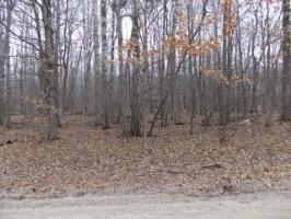 Lot 369 OAK RUN