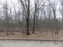 Lot 521 OAK RUN
