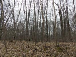 Lot 774 LAUREL LANE