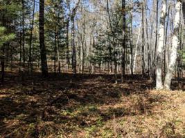 Parcel 9 BIRCH RIDGE ROAD