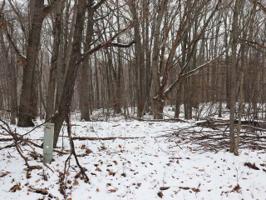 LOT 967 CHERRY