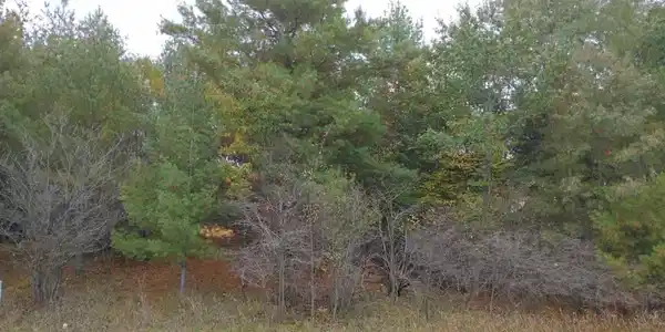 Lot 263 Islander Way