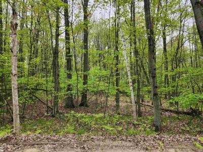 Lot 782 Elkhorn Way