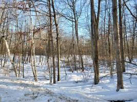 Lot 537 LAUREL LANE