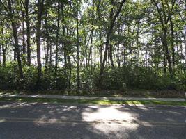 #33 GRANT AVENUE