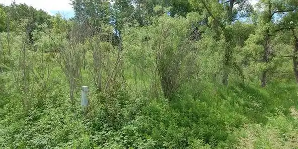 Lot 259 ISLANDER WAY