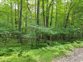 Lot 402 FAWN TERRACE