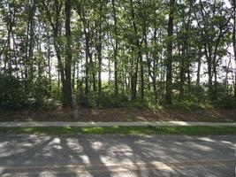 #32 GRANT AVENUE