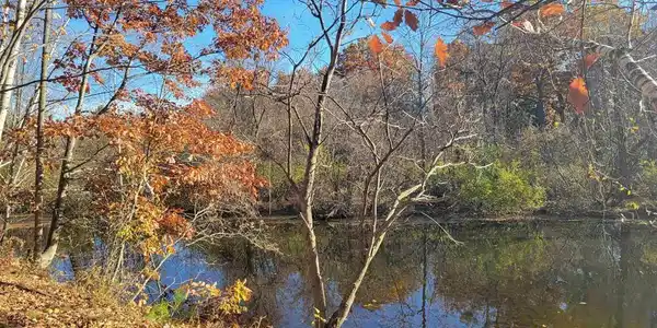 VL North Branch Drive