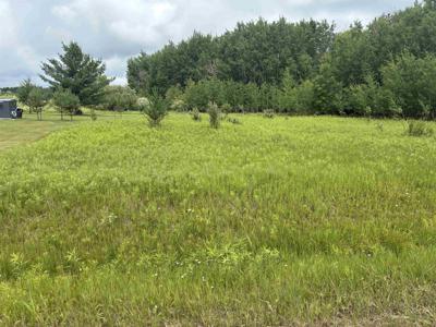 Lot 31 Dundee Drive