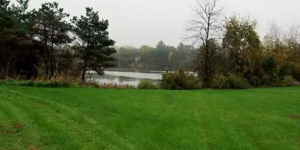 ON SPICER ROAD