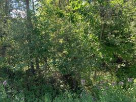 Lot 4 LINKSVIEW WAY