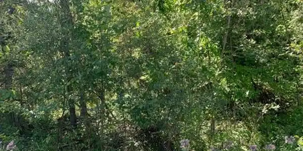 Lot 4 LINKSVIEW WAY