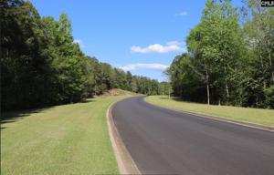 River & Rockbridge Road