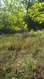 2145 John G Richards Road