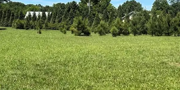 TBD Shady Acres Drive