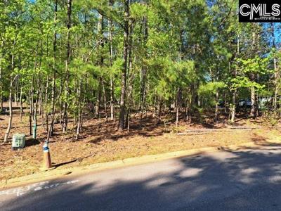 512 Links Pointe Court