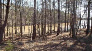 Lot 7 River Road 7
