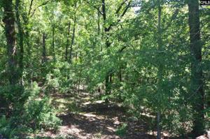 White Oak Church Road