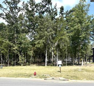 620 Misty Banks Drive