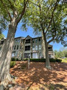 1441 Old Chapin Road 231