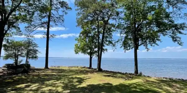 1441 Old Chapin Road 231