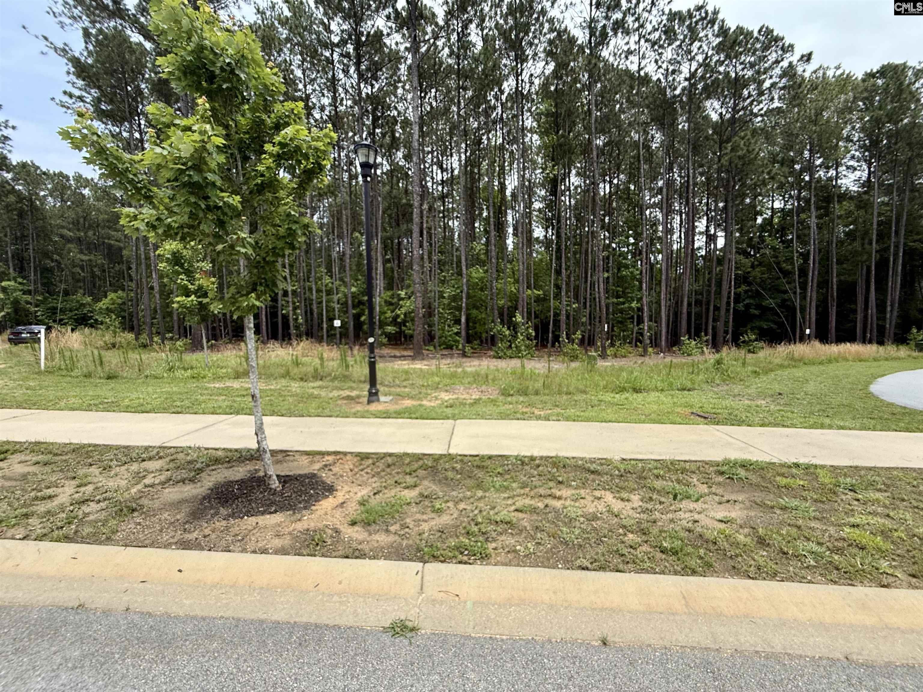 Image 2: Street View of Lots 84 & 85