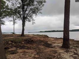 lot 49 Big Water View