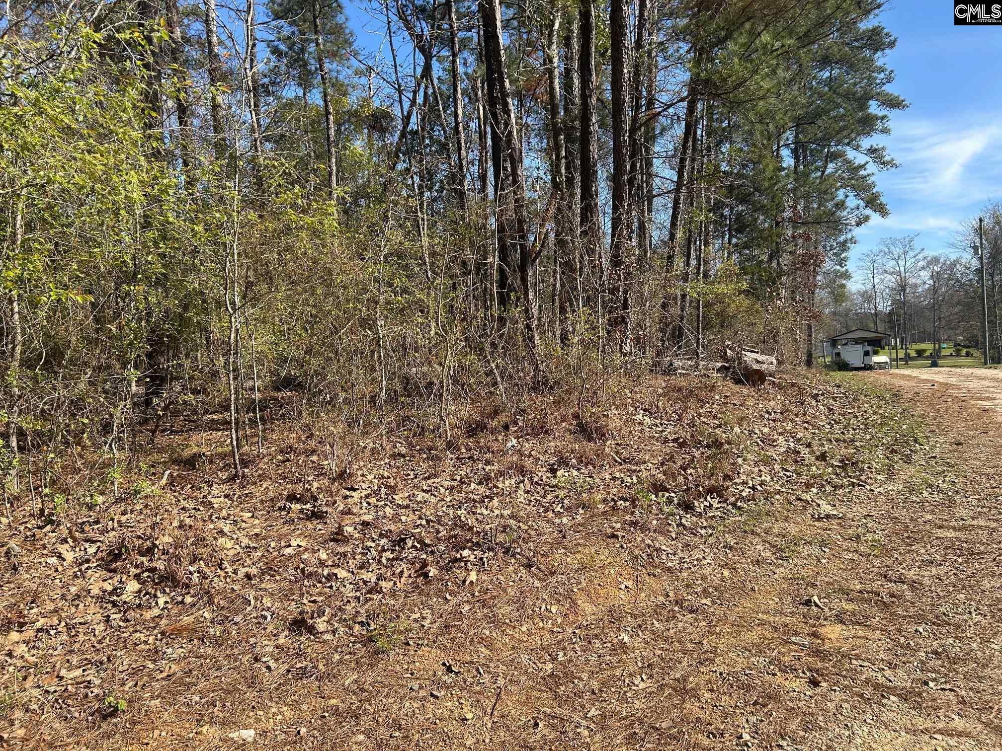 Image 2: Corner or Thorhill & Carolina Ln