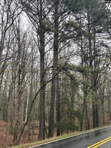 1394 Lake Road